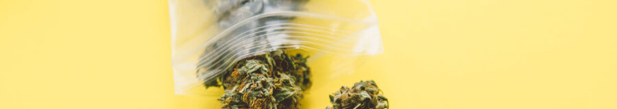 NTEPblogBanner